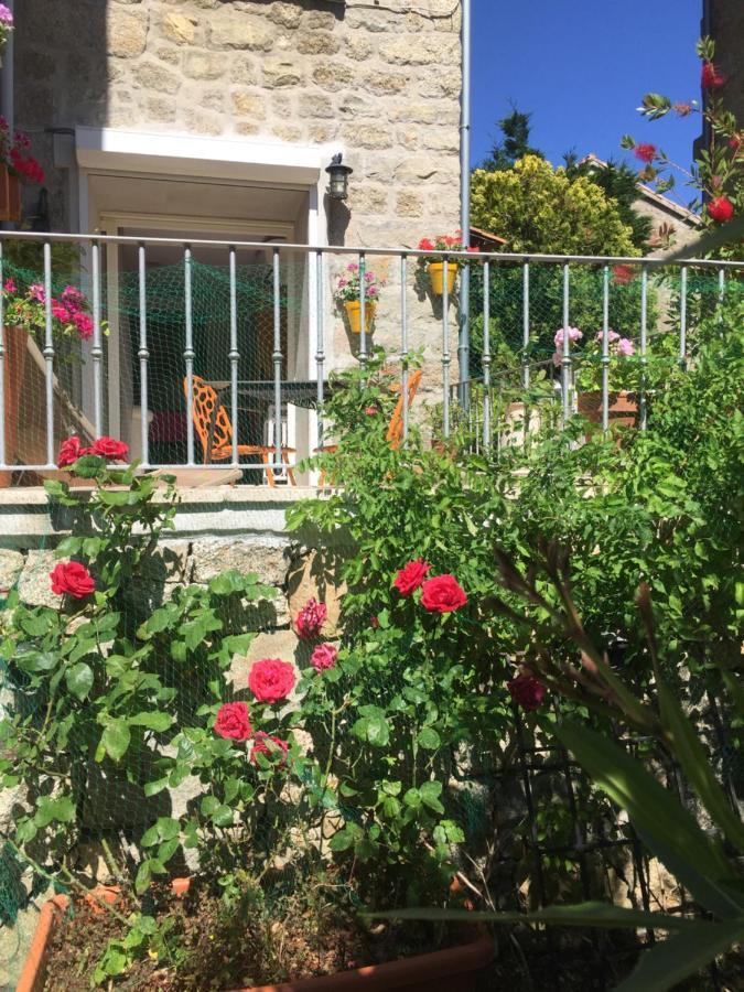 Maison De Vacances - Casa Mezanaccia Avec Terrasse Fleurie Meuble Tourisme 3 Etoiles Santa-Lucia-di-Tallano Ngoại thất bức ảnh